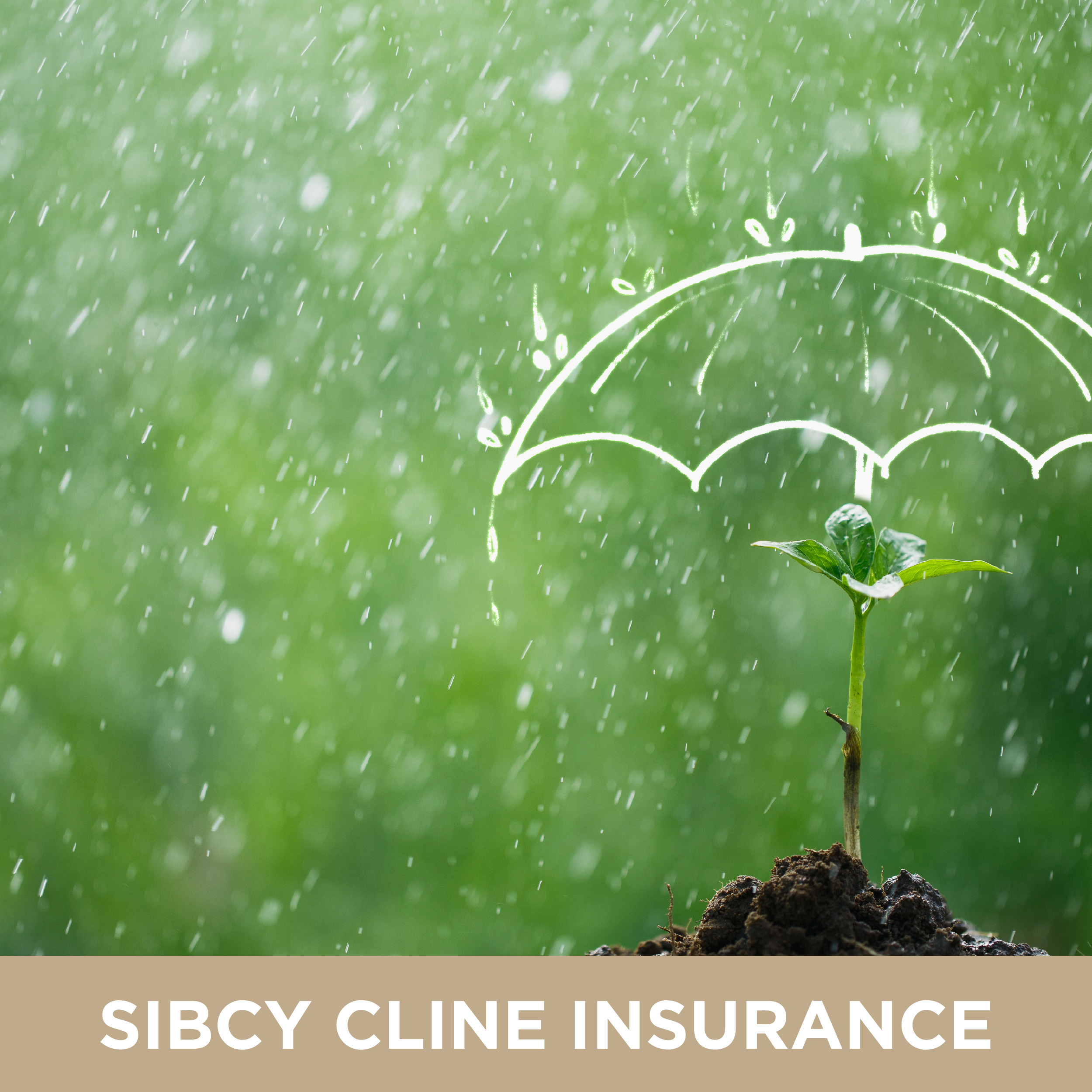 Adelaide Middendorf Website - Untitled Page